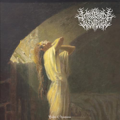 The Mosaic Window - Plight Of Acceptance [Random Color LP] [Vinyl]