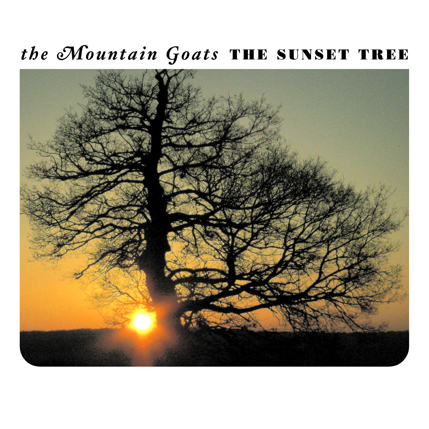 The Sunset Tree 20Th Anniversary Remaster (Apricot Vinyl) [Vinyl] (ONLINE ORDER ONLY)
