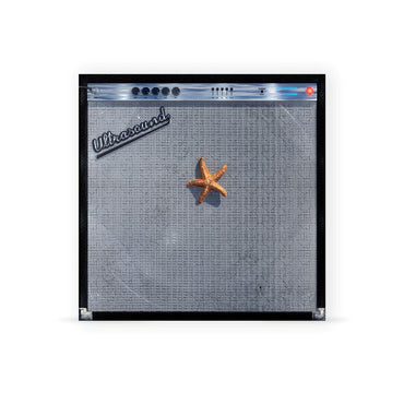 ((((((Ultrasound)))))+ [Opaque Tangerine Vinyl] [2LP] [Vinyl] (ONLINE ORDER ONLY)