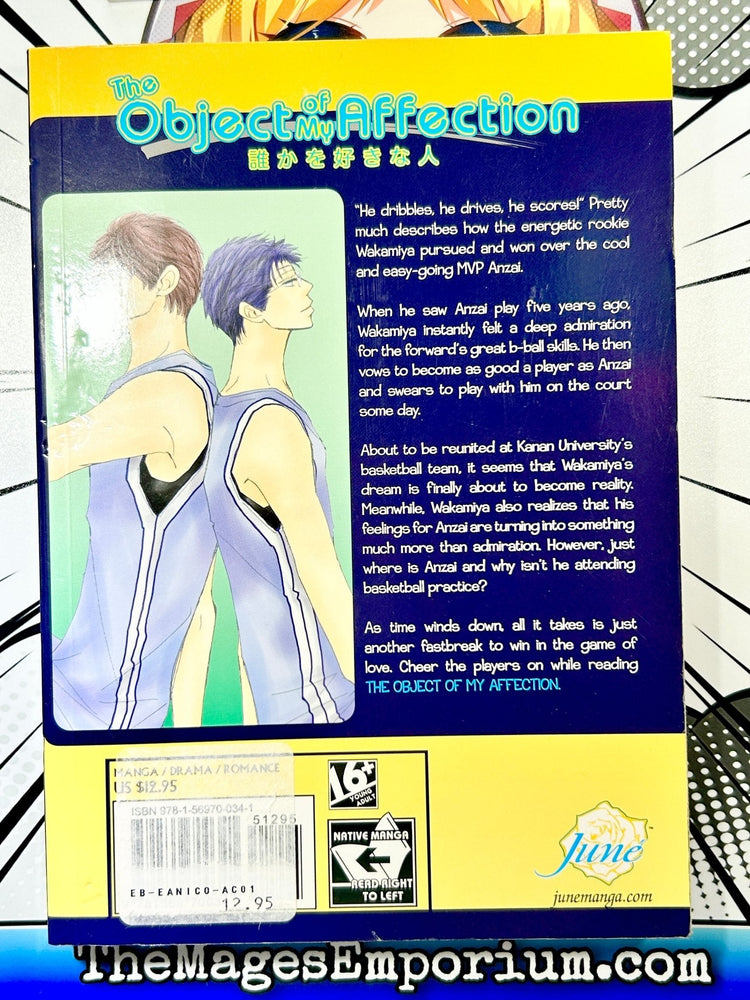 The Object of My Affection (Online Order Only)