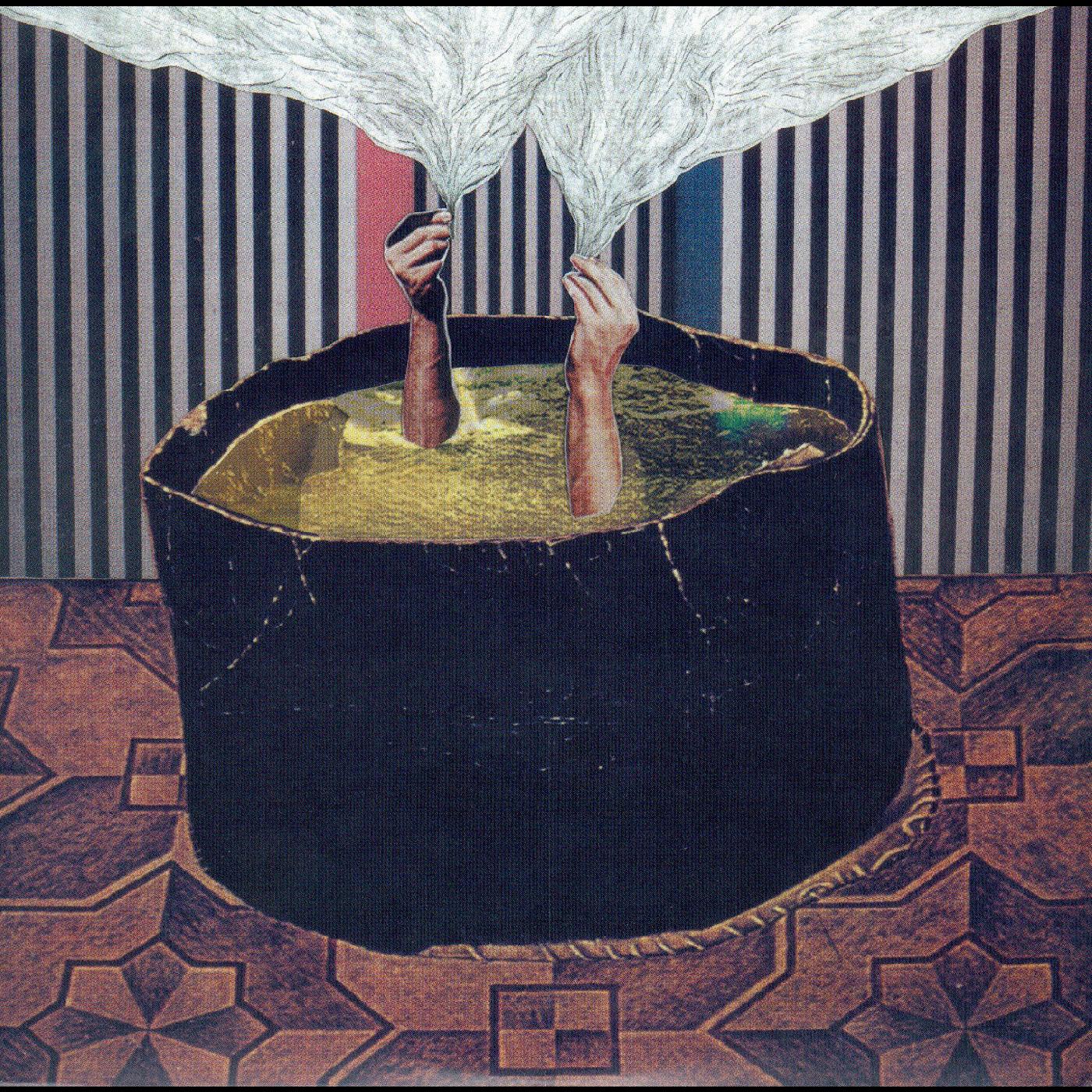 The Phantom Band - The Wants [Vinyl]