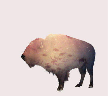 Buffalo [CD] (ONLINE ORDER ONLY)