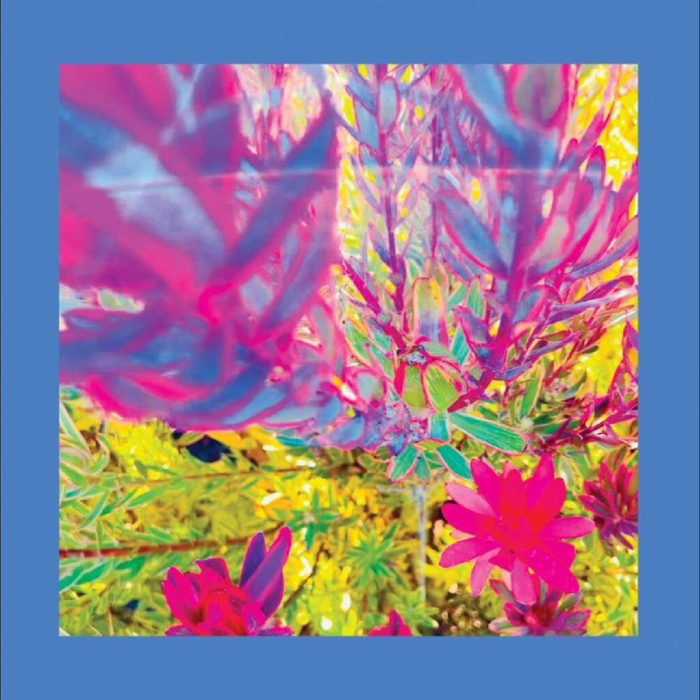 The Past Is A Garden I Never Fed (Sky Blue Vinyl) [Vinyl] (ONLINE ORDER ONLY)