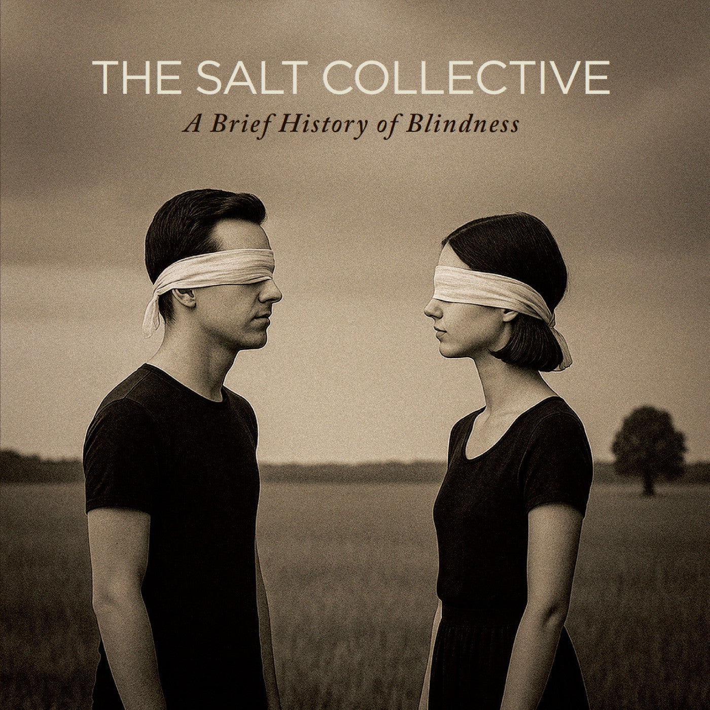 A Brief History Of Blindness [CD] (ONLINE ORDER ONLY)