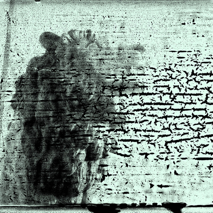 The Smashing Pumpkins - Monuments to an Elegy [Vinyl]
