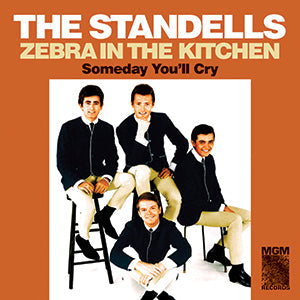 Zebra in the Kitchen / Someday You'll Cry [Vinyl]