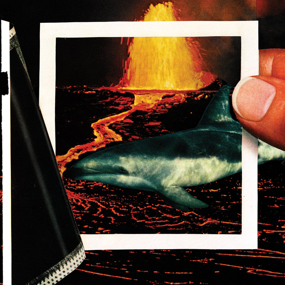 The Thermals - We Disappear [Vinyl]