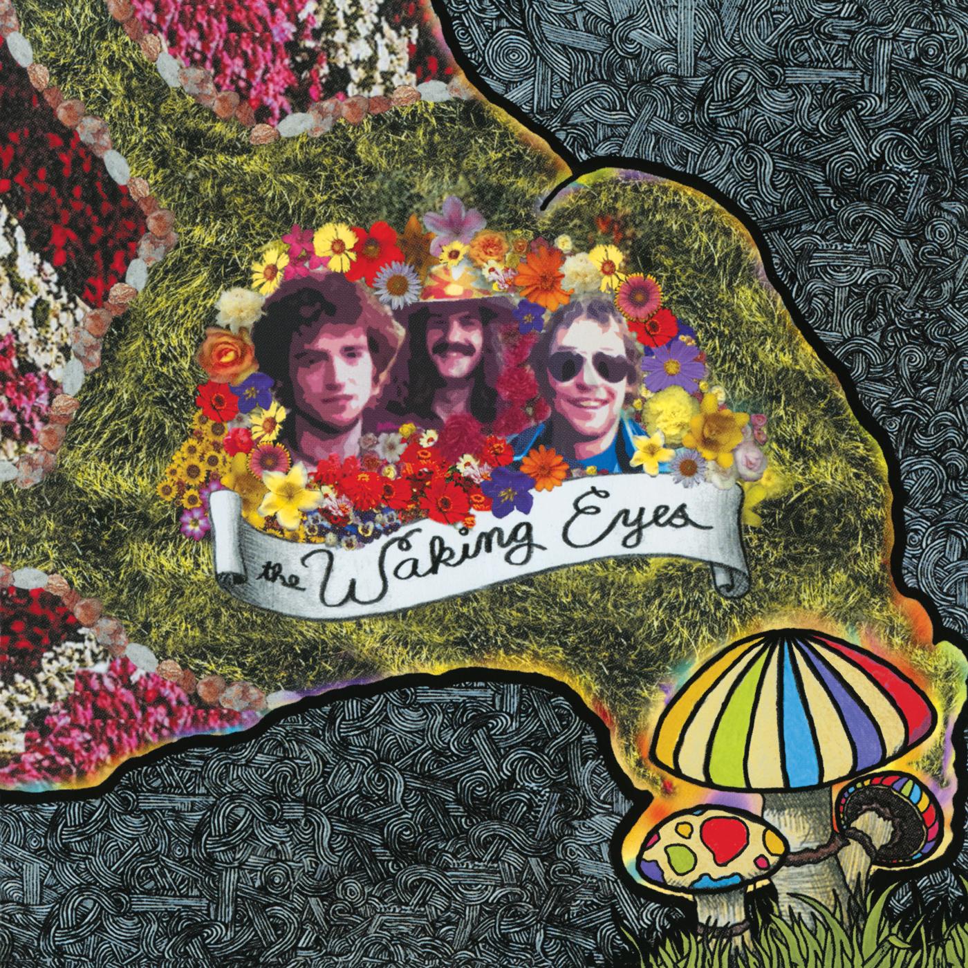 The Waking Eyes - Combing The Cloud [Vinyl] (ONLINE ORDER ONLY)