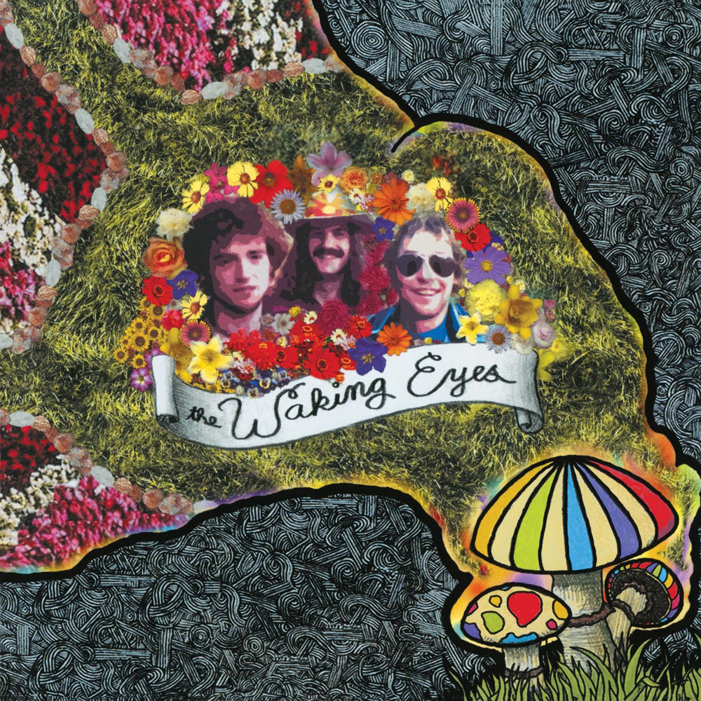 The Waking Eyes - Combing The Cloud [Vinyl] (ONLINE ORDER ONLY)