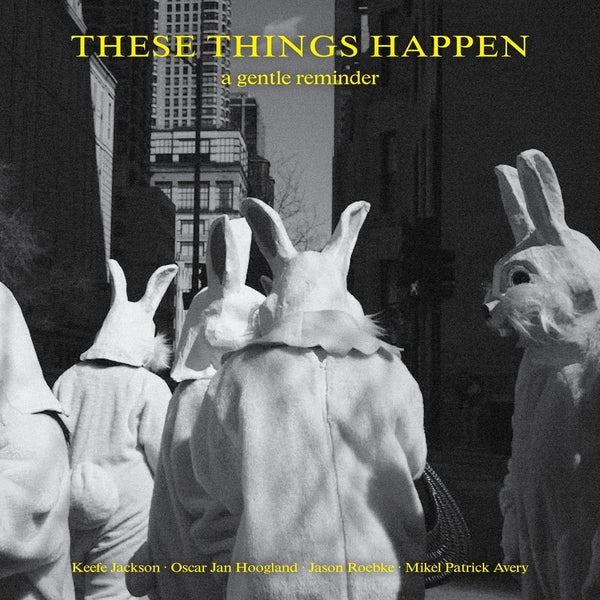 These Things Happen - A Gentle Reminder [LP] [Vinyl]