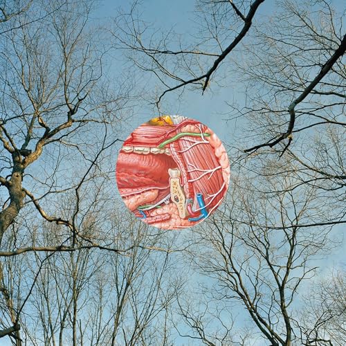 Glean [Vinyl] (ONLINE ORDER ONLY)