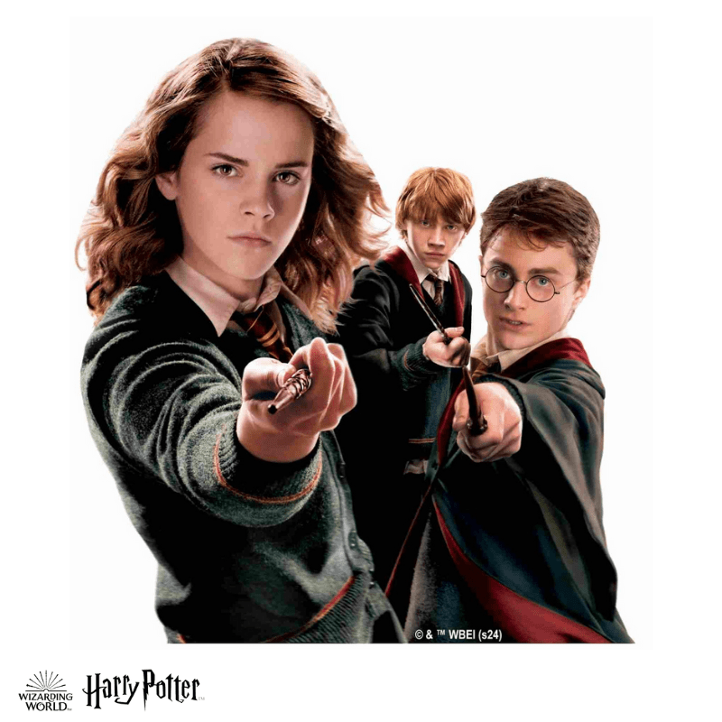 Harry Potter - The Hogwarts Heroes Wooden Jigsaw Puzzle (Online Order Only)