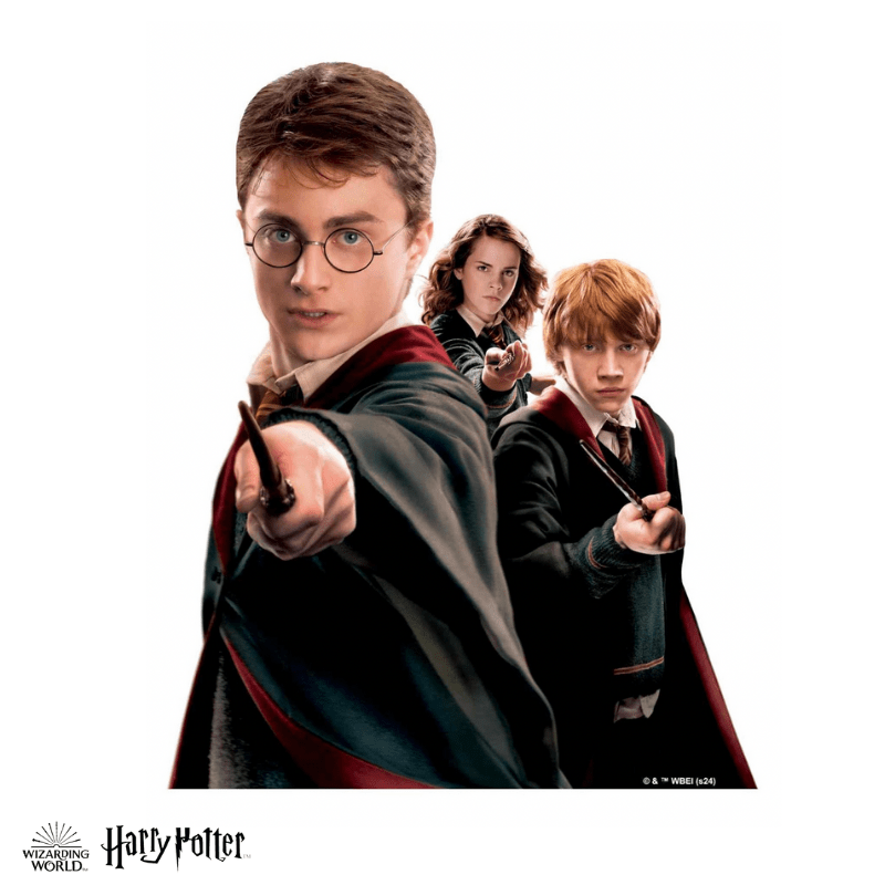 Harry Potter - The Wizarding Friends Wooden Jigsaw Puzzle (Online Order Only)