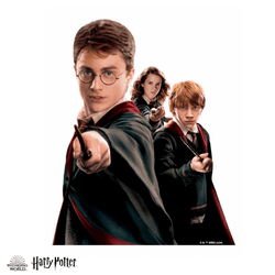 Harry Potter - The Wizarding Friends Wooden Jigsaw Puzzle (Online Order Only)