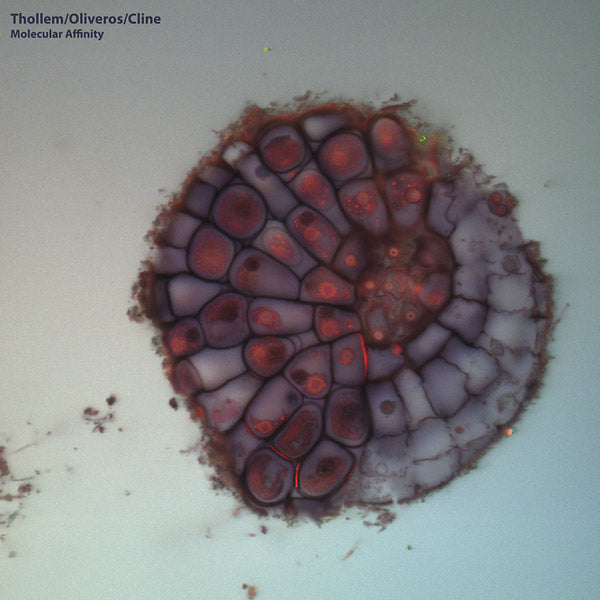 THOLLEM MCDONAS/PAULINE OLVEROS/NELS CLINE - Molecular Affinity [Vinyl] (ONLINE ORDER ONLY)