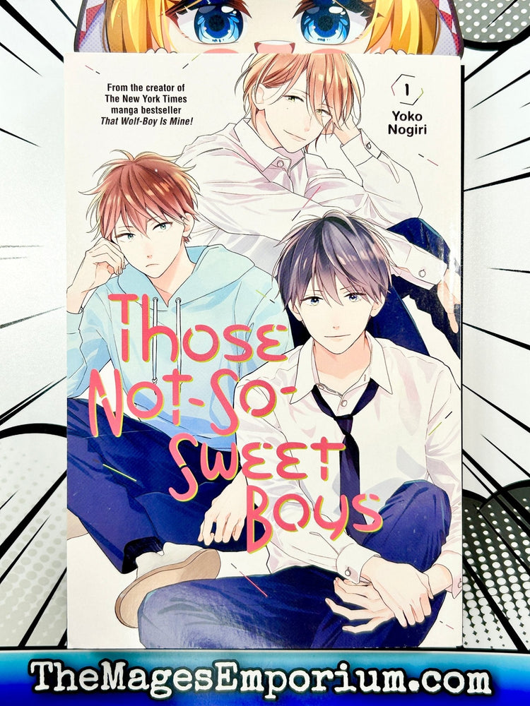 Those Not-So-Sweet Boys Vol 1 (Online Order Only)