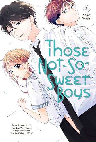 Those Not-So-Sweet Boys Vol 3 (Online Order Only)