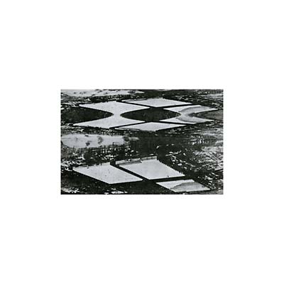 THOUGHT BROADCAST - Emergency Stairway [Vinyl] (ONLINE ORDER ONLY)