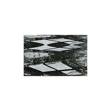 THOUGHT BROADCAST - Emergency Stairway [Vinyl] (ONLINE ORDER ONLY)