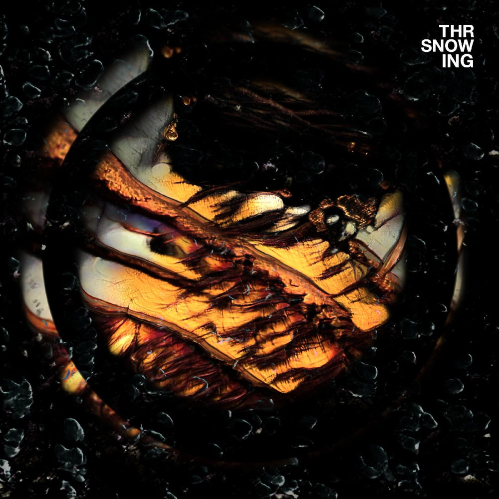 Throwing Snow - Dragons (Marbled Orange Vinyl) [Vinyl] (ONLINE ORDER ONLY)