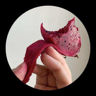 Lmz:Rmx [Vinyl] (ONLINE ORDER ONLY)