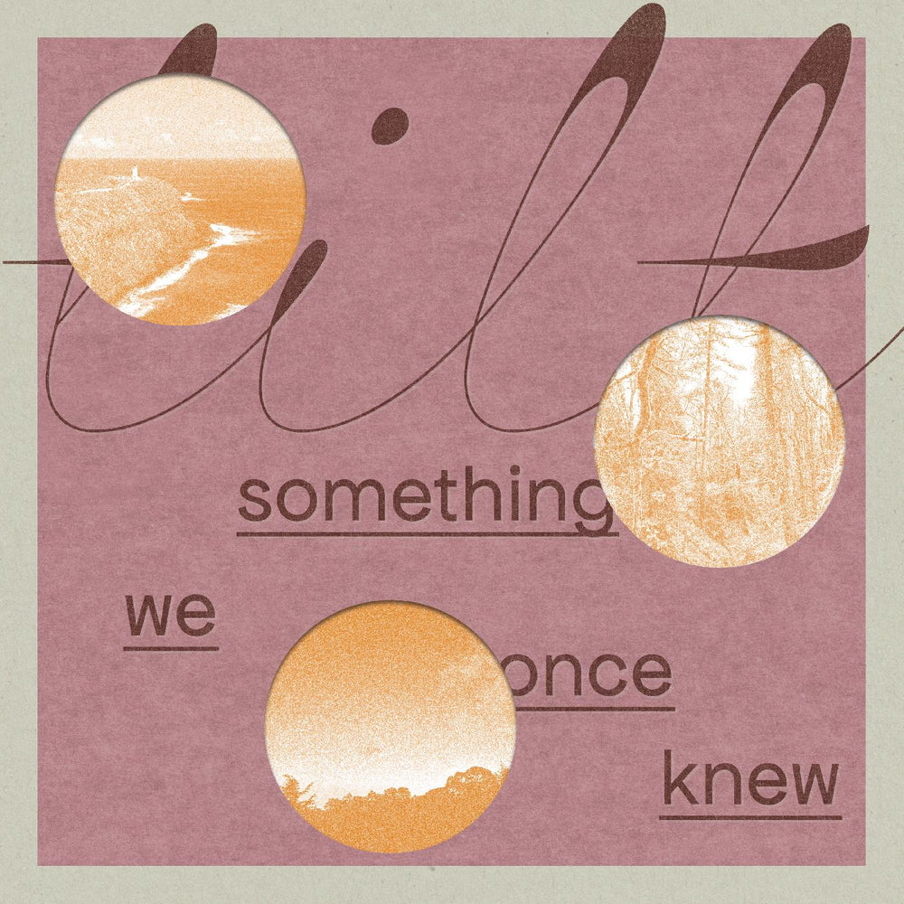 Tilt - something we once knew [Vinyl] (ONLINE ORDER ONLY)