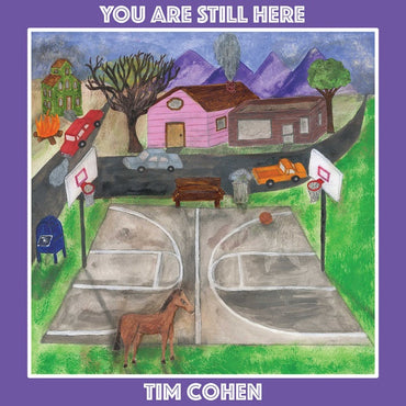 TIM COHEN - You Are Still Here [Vinyl] (ONLINE ORDER ONLY)