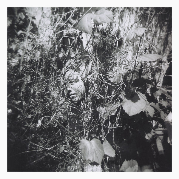 Now Is The Last Best Time [Vinyl] (ONLINE ORDER ONLY)