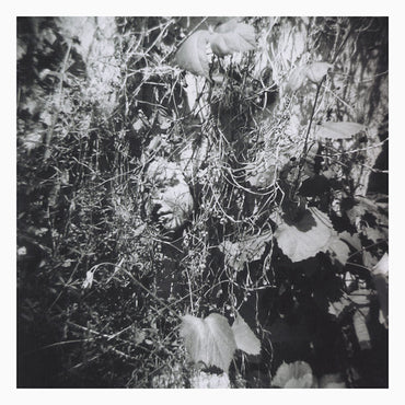 Now Is The Last Best Time [Vinyl] (ONLINE ORDER ONLY)