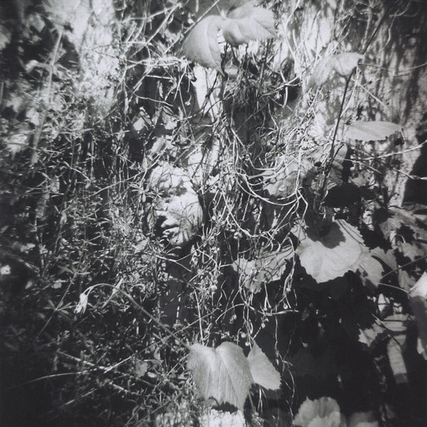 TIM MISLOCK - Now Is The Last Best Time [CD] (ONLINE ORDER ONLY)