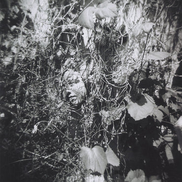 TIM MISLOCK - Now Is The Last Best Time [CD] (ONLINE ORDER ONLY)