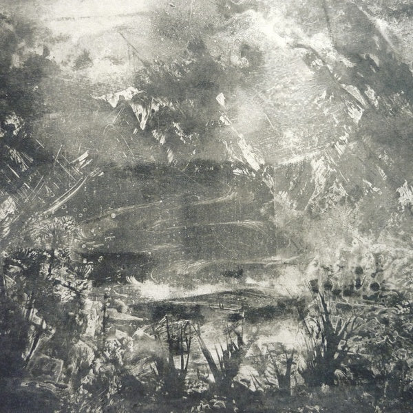 TIMO VAN LUIJK/KRIS VANDERSTRAETEN - Autour du Lac d'Asselt [Vinyl] (ONLINE ORDER ONLY)