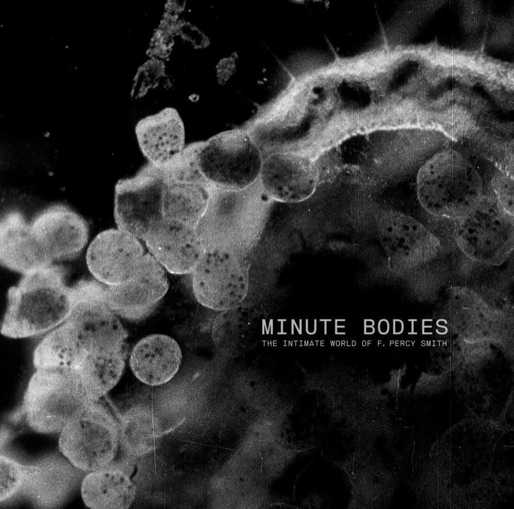 Tindersticks - Minute Bodies: The Intimate World of F. Percy Smith [CD] (ONLINE ORDER ONLY)