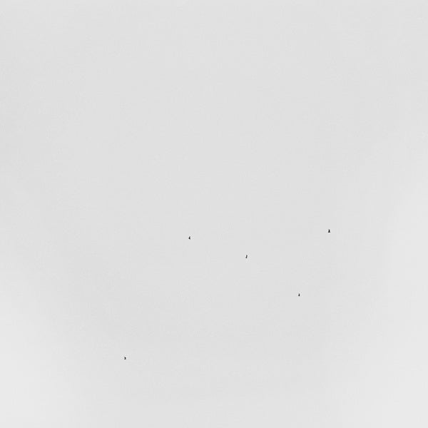 Conjectures [Vinyl] (ONLINE ORDER ONLY)