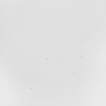 Conjectures [Vinyl] (ONLINE ORDER ONLY)