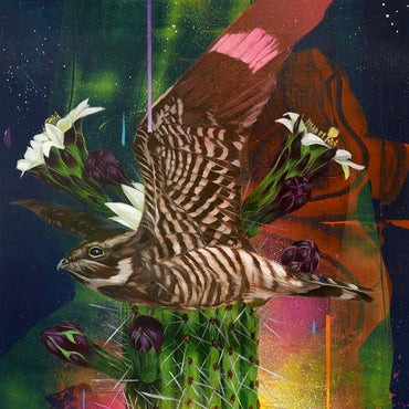 TODD RUSSELL & THE DANGEROUS COATS - Playa Larga/1900 Ocean Ave [Vinyl] (ONLINE ORDER ONLY)