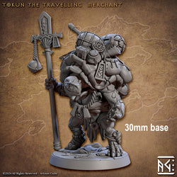 Tokun the Traveling Merchant (Male Turtlekin Merchant) (Online Only)