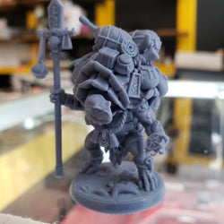 Tokun the Traveling Merchant (Male Turtlekin Merchant) (Online Only)