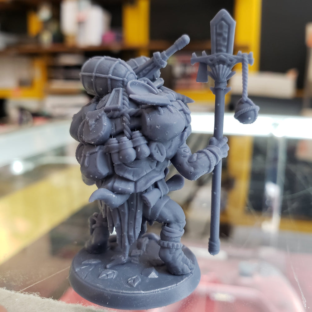 Tokun the Traveling Merchant (Male Turtlekin Merchant) (Online Only)