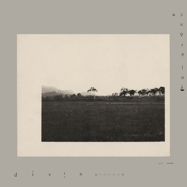 TOLERANCE - DIVIN [Vinyl]