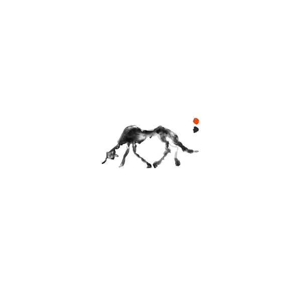 Daybreak [Lp] [Vinyl] (ONLINE ORDER ONLY)