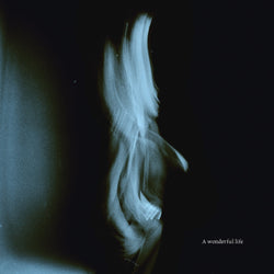 A Wonderful Life (Indie Exclusive) (Coke Bottle Clear Vinyl) [Vinyl] (ONLINE ORDER ONLY)