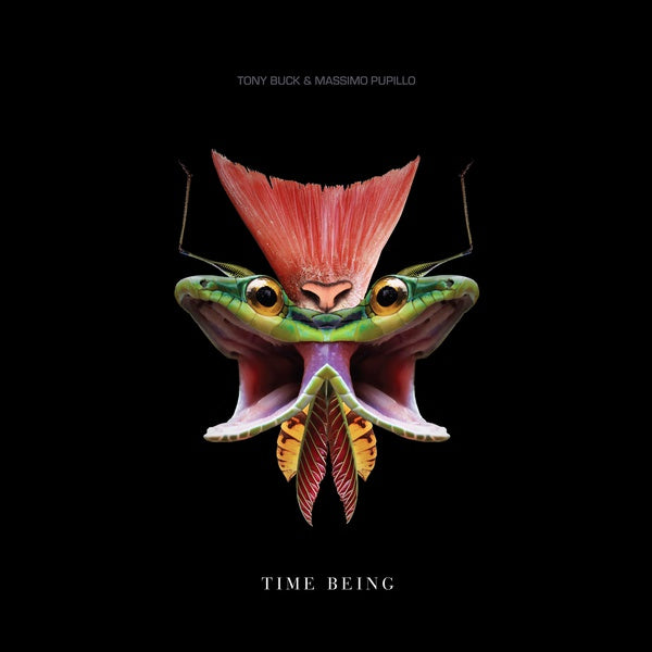 Time Being [Vinyl] (ONLINE ORDER ONLY)