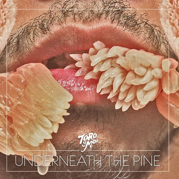 Underneath The Pine [CD]