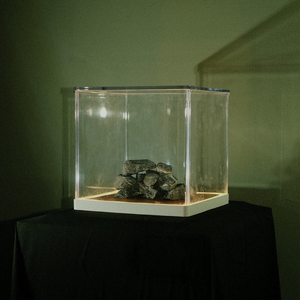 PRE-ORDER: Trá Pháidín - Cloch 'S Claí (Indie Exclusive) [Vinyl] (ONLINE ORDER ONLY)
