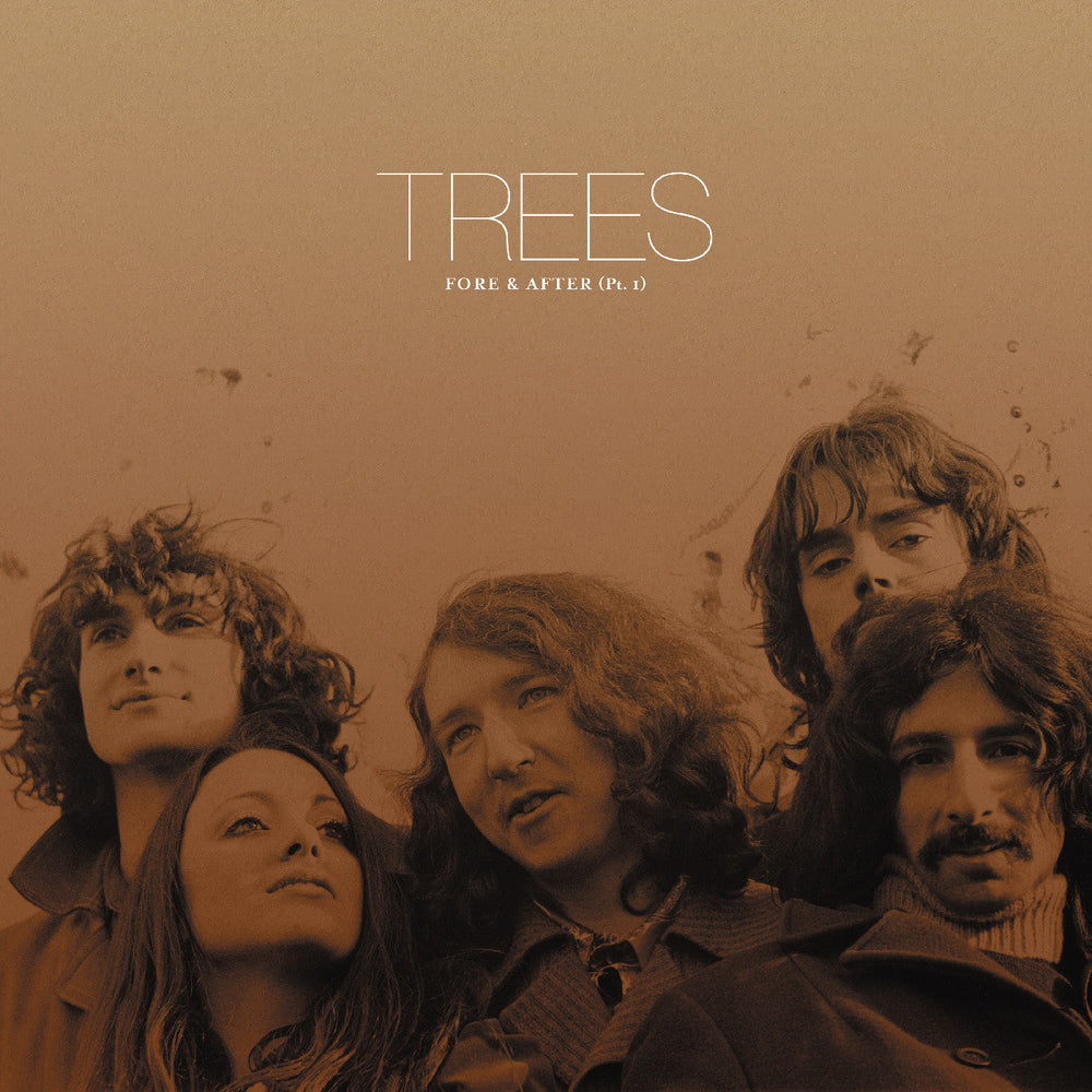 Fore & After (Indie Exclusive) [Vinyl] (ONLINE ORDER ONLY)
