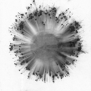 Trentemoller - Obverse [CD] (ONLINE ORDER ONLY)