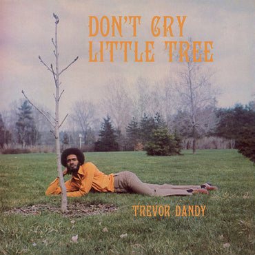 TREVOR DANDY - Don't Cry Little Tree [Vinyl] (ONLINE ORDER ONLY)