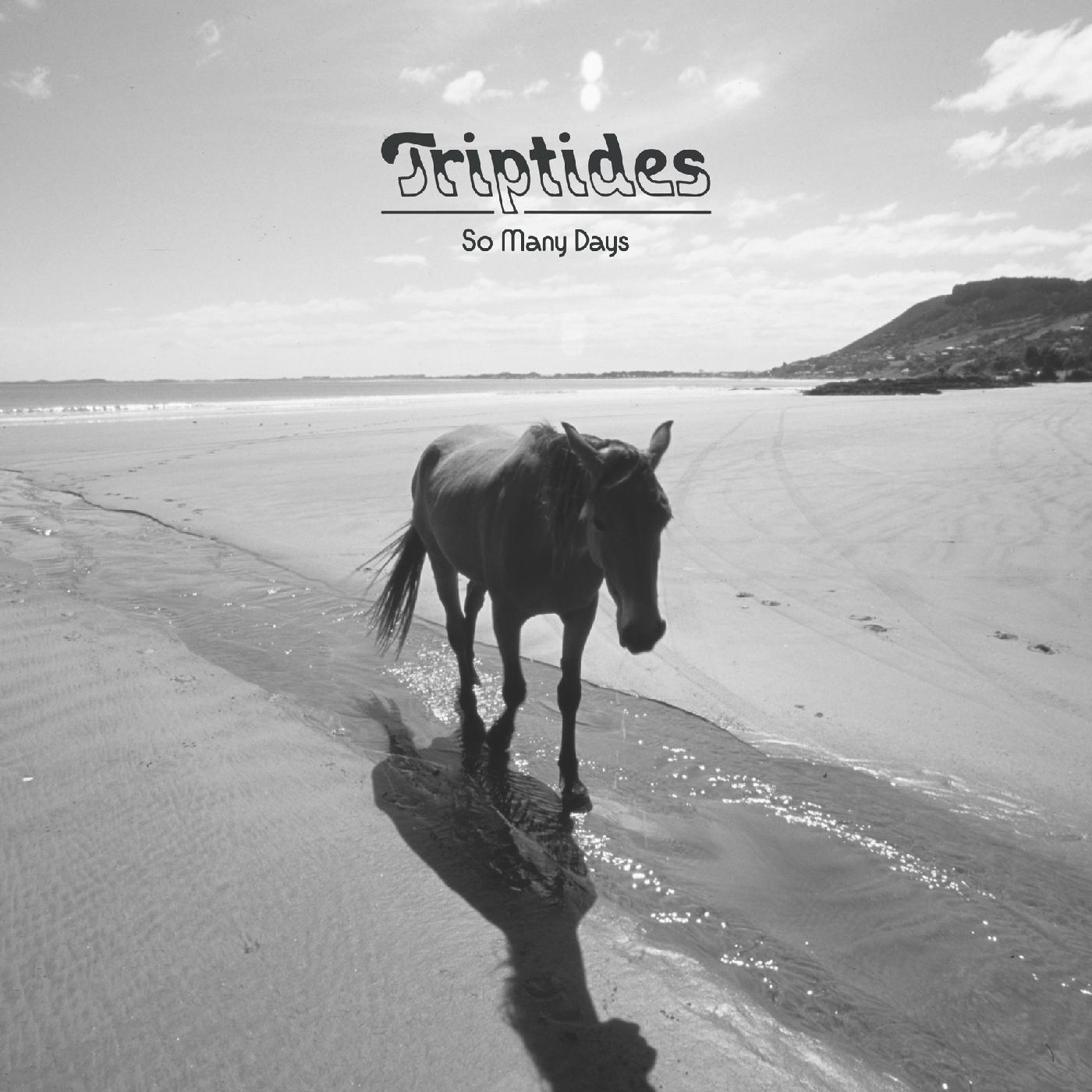 So many days [Vinyl] (ONLINE ORDER ONLY)