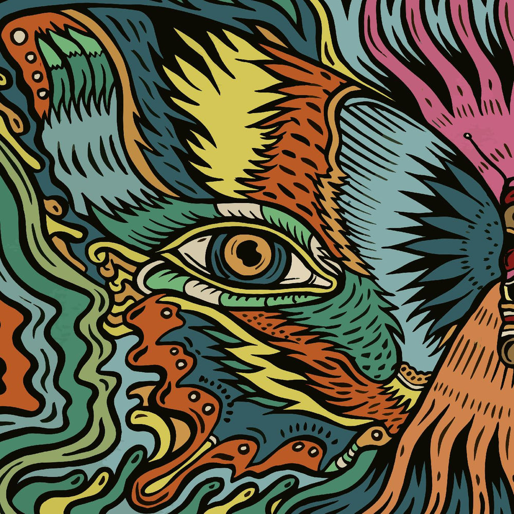 Tronosonic Experience - The Shadow Vol.1 [Vinyl]